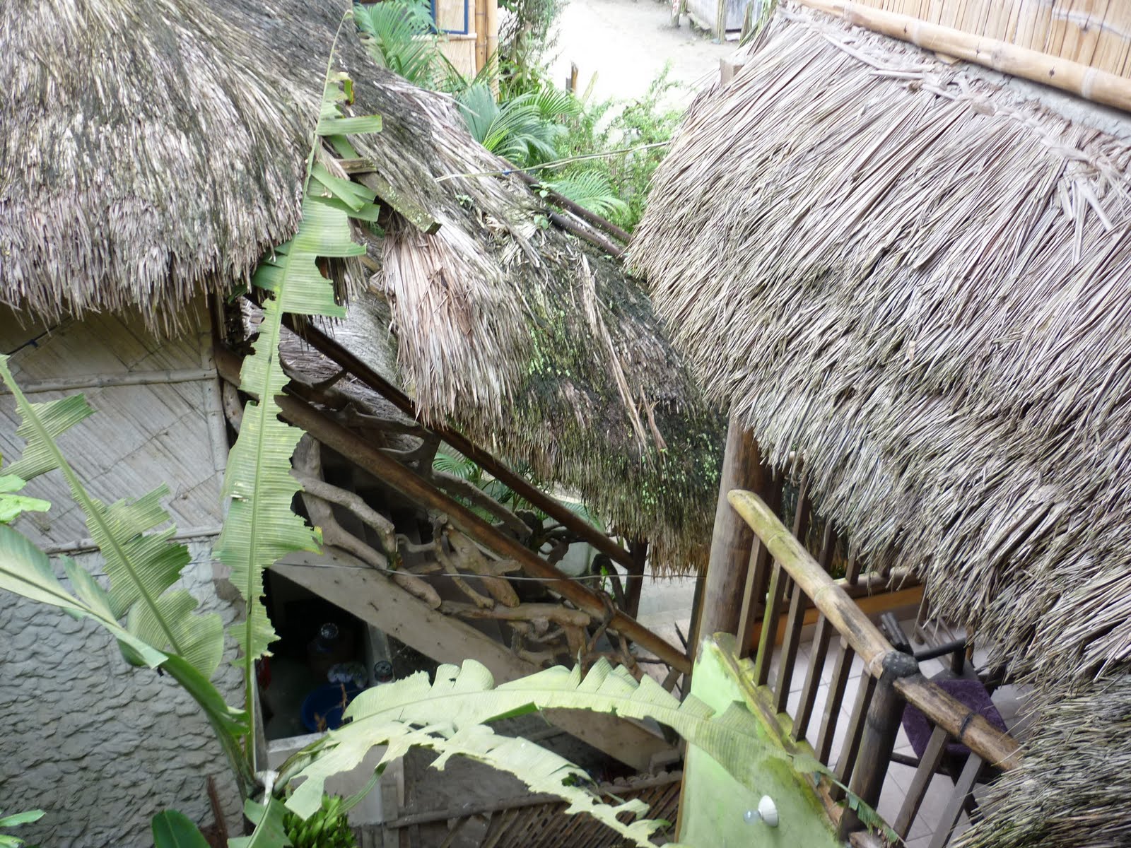 El Kalabazas: noviembre 2010