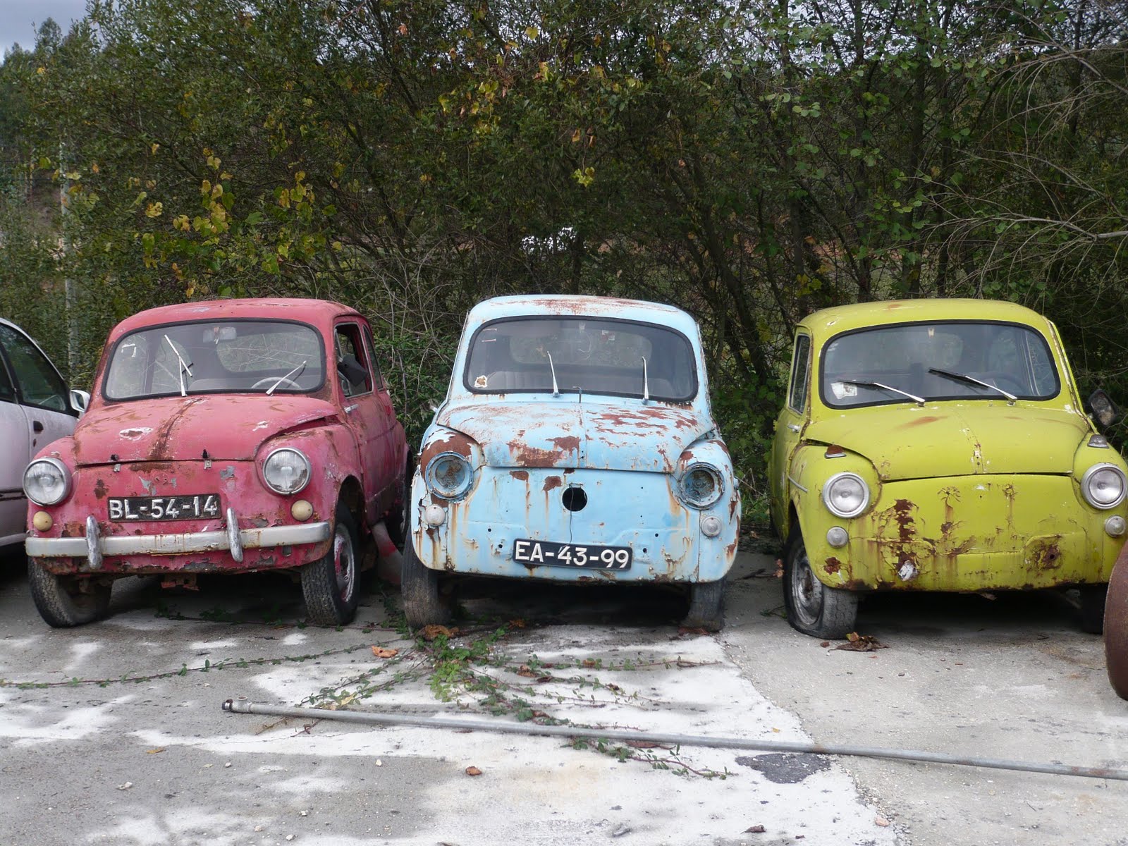[fiat.jpg]