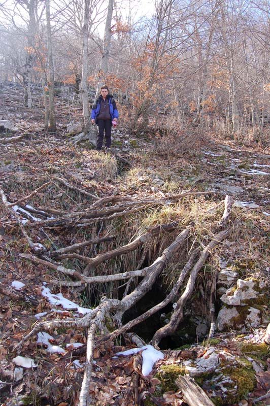 [Cesa%20Schiometta%202[1].jpg]