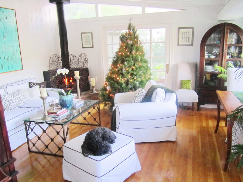 Christmas tree in a living room with wood floor, white sofa, armchair and ottoman with navy piping, a coffee table with iron legs and a glass table top, and a black fireplace