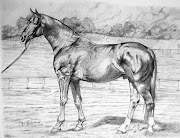 disegni a matita e acquarello (img )