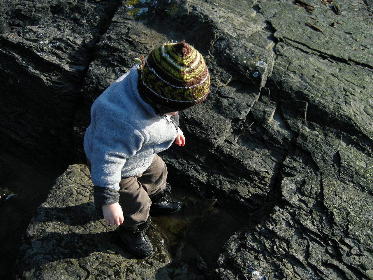 [Investigating+Rocks+and+puddle.JPG]