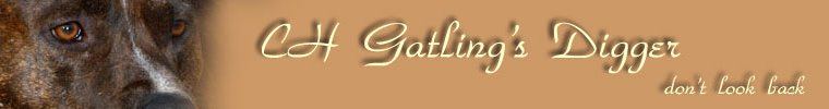 Gatlings Digger don't look back