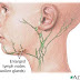 A swollen lymph node.... dangerous?