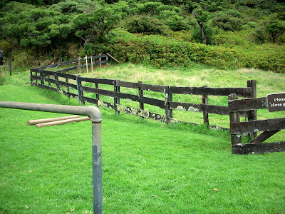 Building A Fence