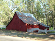 Lil Red Barn