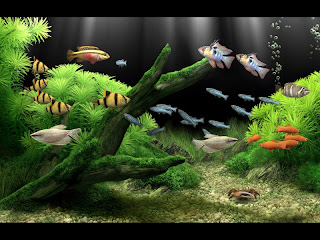 Dream Aquarium Screensaver Rapidshare