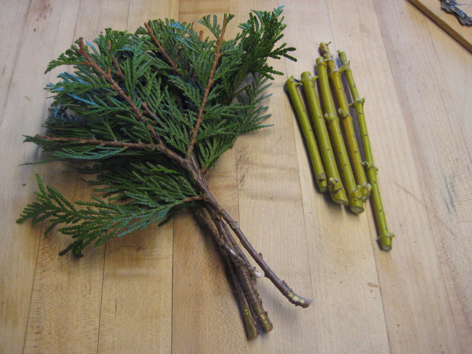 Living on a Finite Plant Propagation Week 2