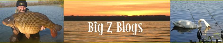 Big Z blogs