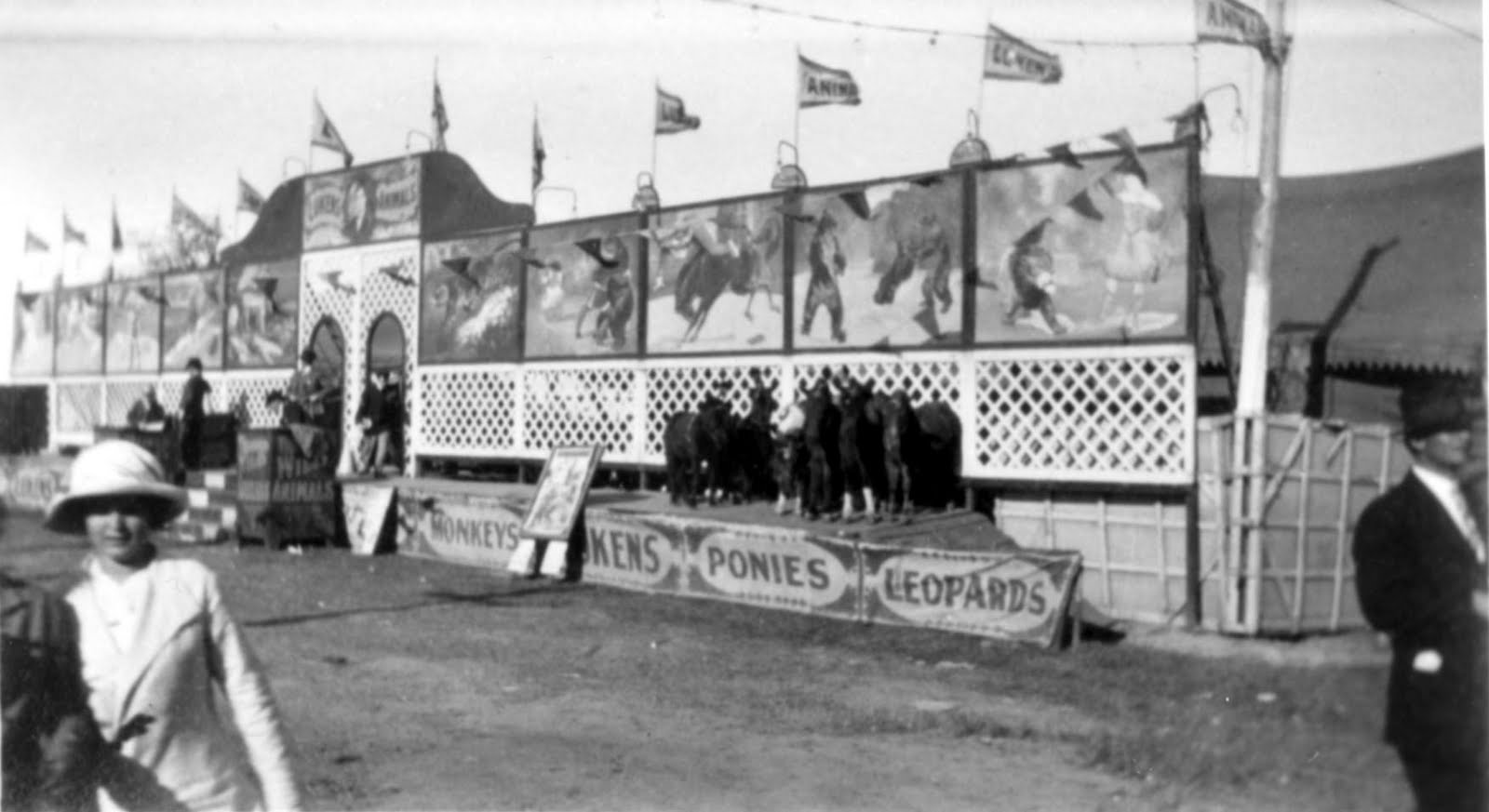 Bossier Parish Libraries History Center Louisiana State Fair
