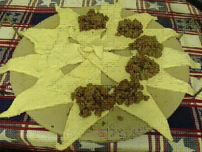 Recipes With Hamburger Meat And Crescent Rolls