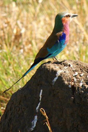 [IMG_2973_SavutiRacke.jpg]