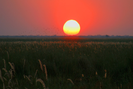 [IMG_3011_LinyantiSonne.jpg]