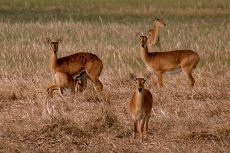 [IMG_4037_KasankaLechwes.jpg]