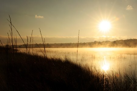 [IMG_4144_WakaMorning.jpg]