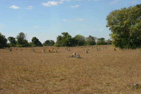 [IMG_4171_BangTermiten.jpg]