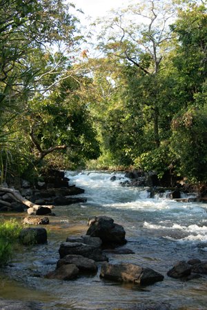 [IMG_4487_Lumangwe.jpg]