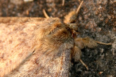 [IMG_4721a_Isanga.jpg]