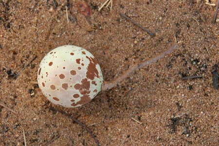 [IMG_4666_Isanga.jpg]