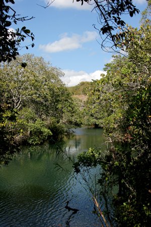 [IMG_5085_Mutinondo_25+01-58-21.jpg]