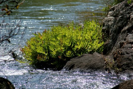 [IMG_5190_Mutinondo_25+01-58-21.jpg]