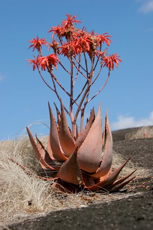 [IMG_5151_Mutinondo_25+01-58-21.jpg]