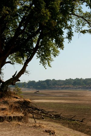 [IMG_5394_SouthLuangwa28.jpg]
