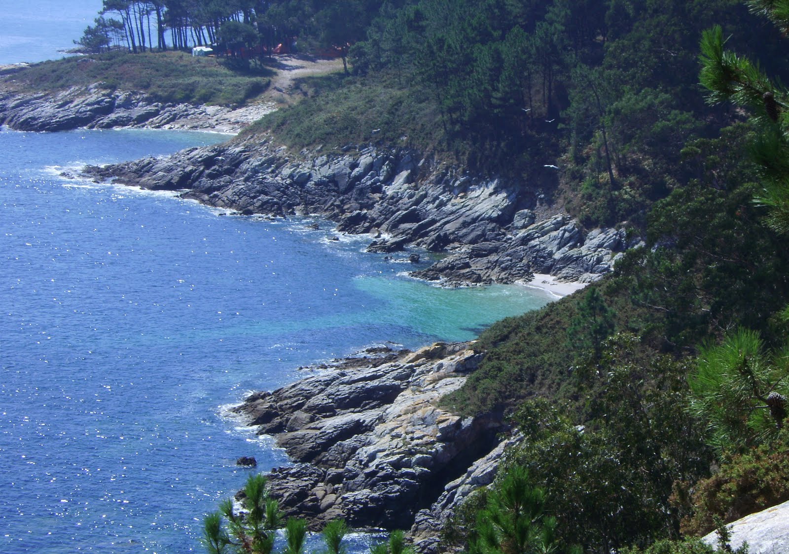 [IMG_2725.JPG]