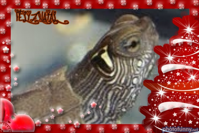 [final_33105583303.jpg]