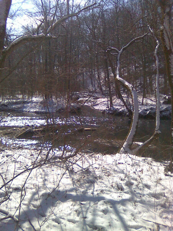 Trail Scenery