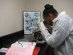 Clinical Laboratory Scienctist