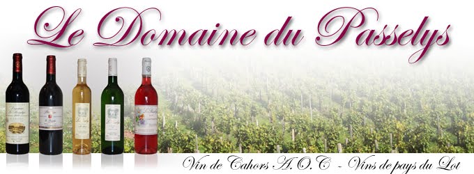 le Blog du Domaine "Passelys", <br> Vin de Cahors, <br>Vins de pays du Lot