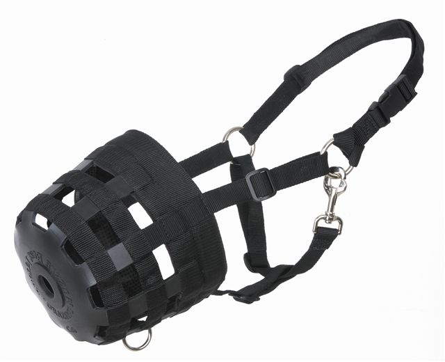 [muzzle.jpg]