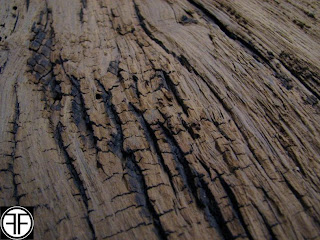 Sandblasted Wood