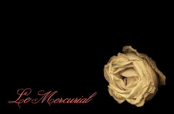 Le Mercurial - The Online Store