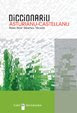 El «Diccionariu asturianu-castellanu»: nun sólo destaca pol númberu d'entraes, sinón pol conceptu mesmu col que se fixo: enxértense nél palabres de fruxe lliterariu o dialectal qu'otros refuguen y arrecuéyense términos non atopaos n'otros repertorios. Asina, quien lu use disfruta de meyores o distintes posibilidaes d'información