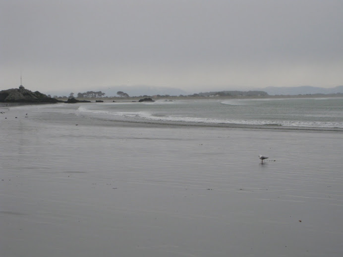 Au bord du Pacifique