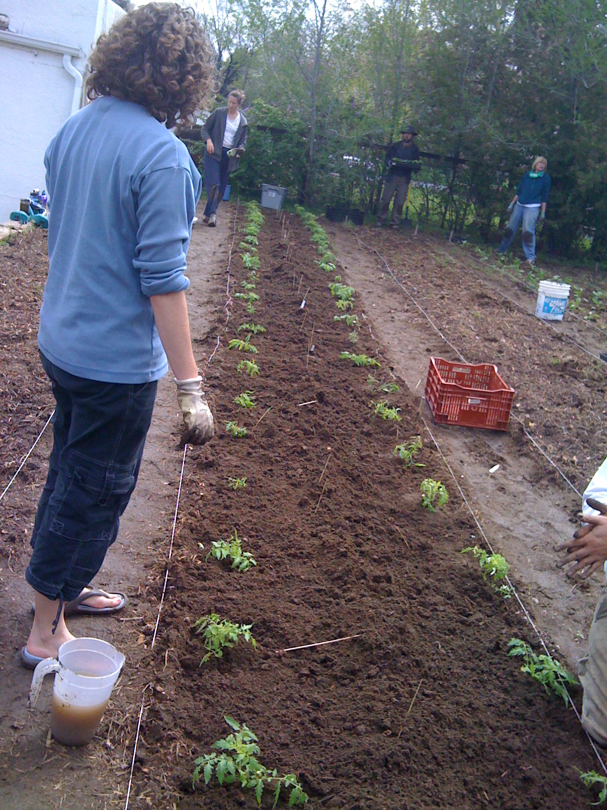 EatWhereULive Planting the Gardens