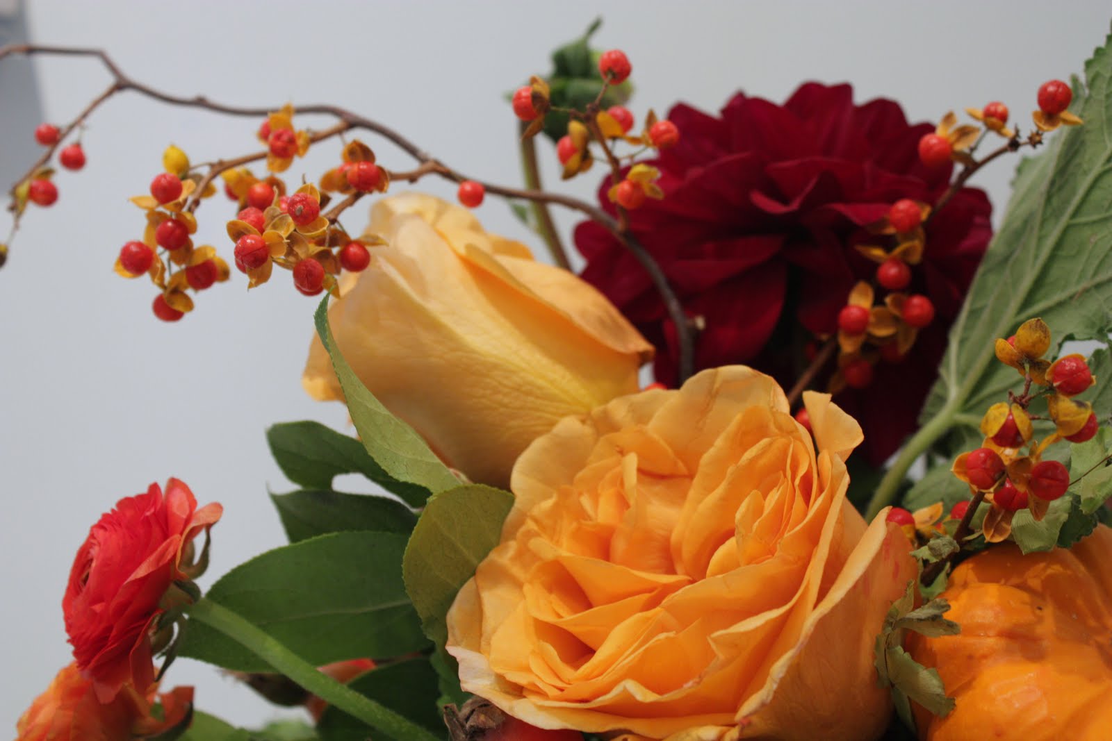 [fall+centerpiece+close.JPG]
