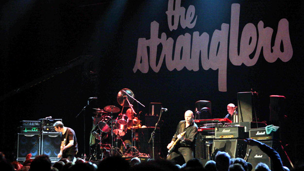 The Stranglers - sɹǝlƃuɐɹʇs ǝɥʇ The_stranglers_LIVE+actual