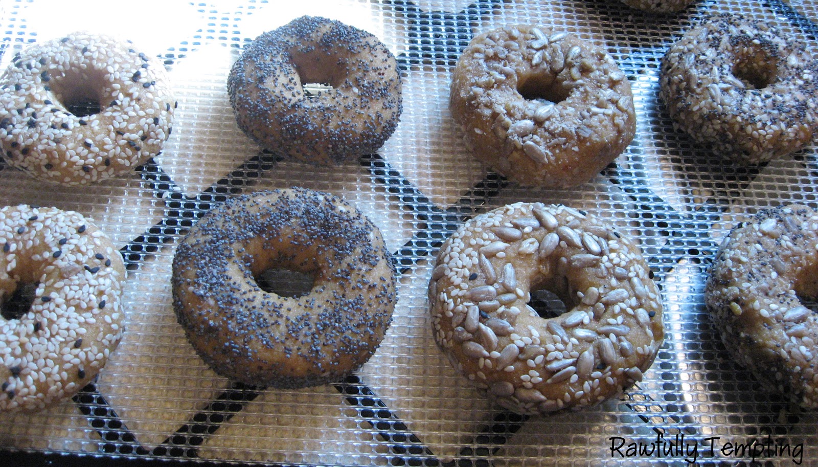 Bagel Cafe Springfield Ave New Providence Nj Bagel Cafe Springfield Ave New Providence Nj