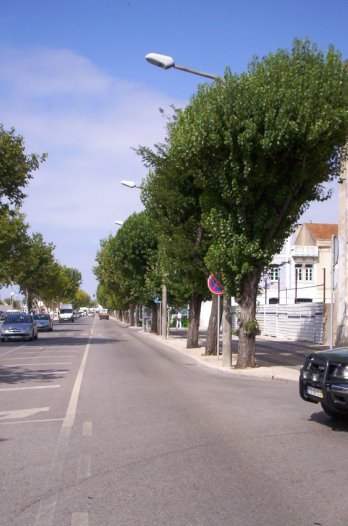 [6)Esquina....bmp]
