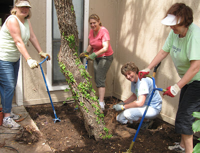 DivasoftheDirt,twisting tillers