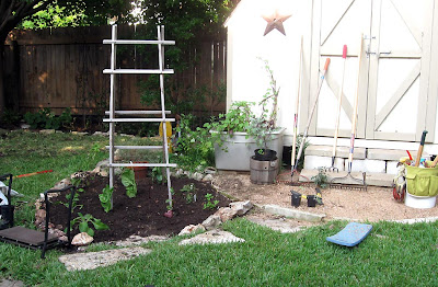 DivasoftheDirt, Buffy's vegetable plot