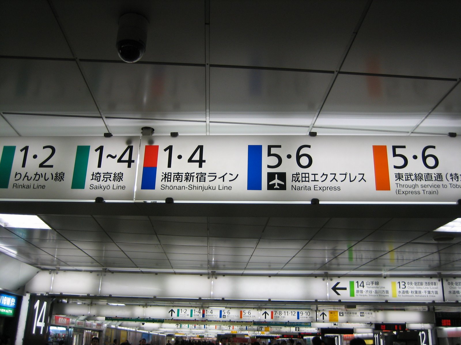 [IMG_5717.JPG]