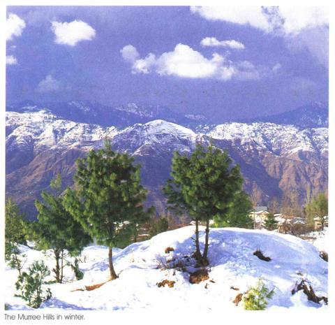 [muree-8.jpg]