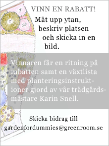 TÄVLING SEPTEMBER