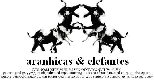 aranhicas & elefantes