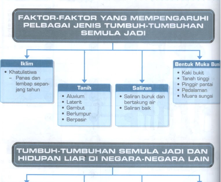 Geografi Pendahuluan