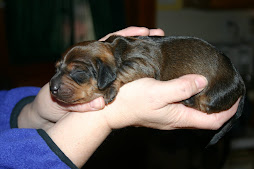 thea at 10 days old ...